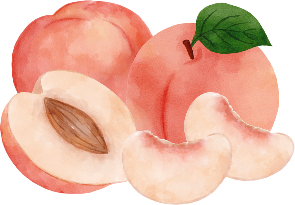 Peaches watercolor