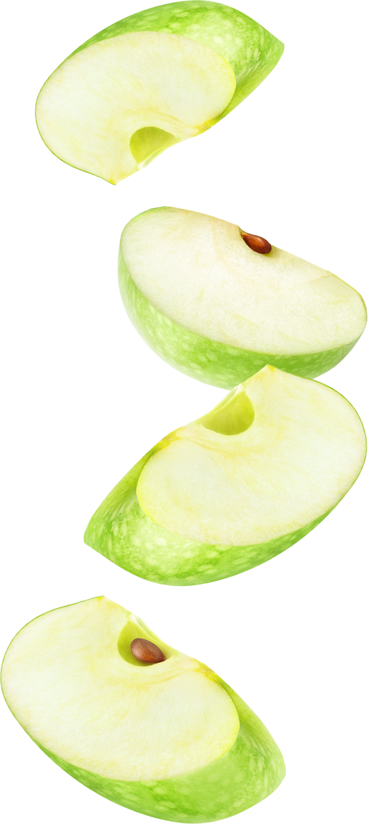 Slices of Apple  Illustration 