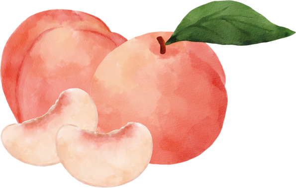 fruit peach watercolor