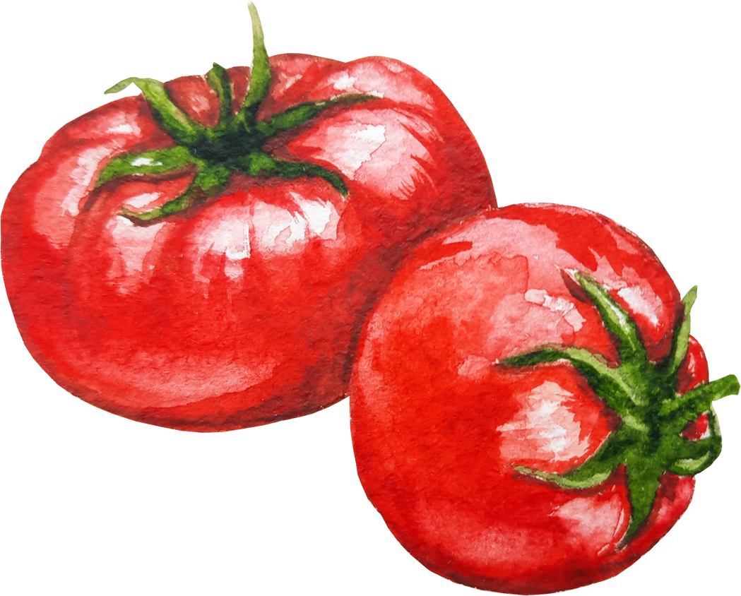 Red Watercolor Tomatoes