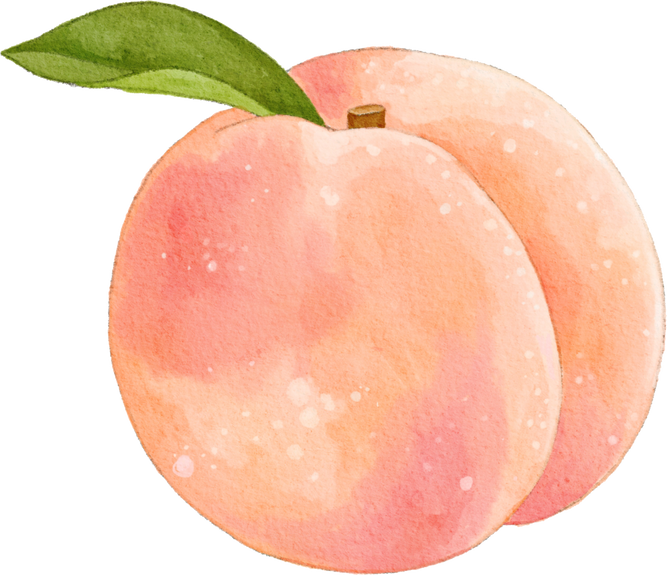 Peach Fruit Illustration