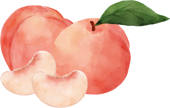 fruit peach watercolor