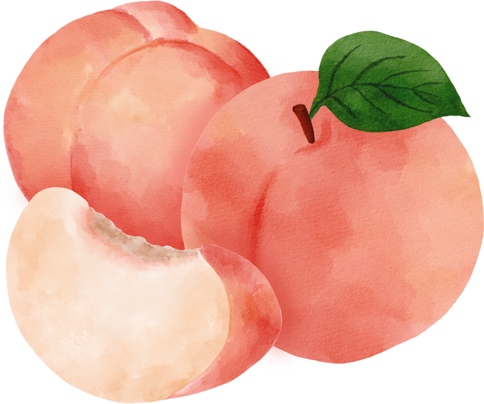 Peaches watercolor