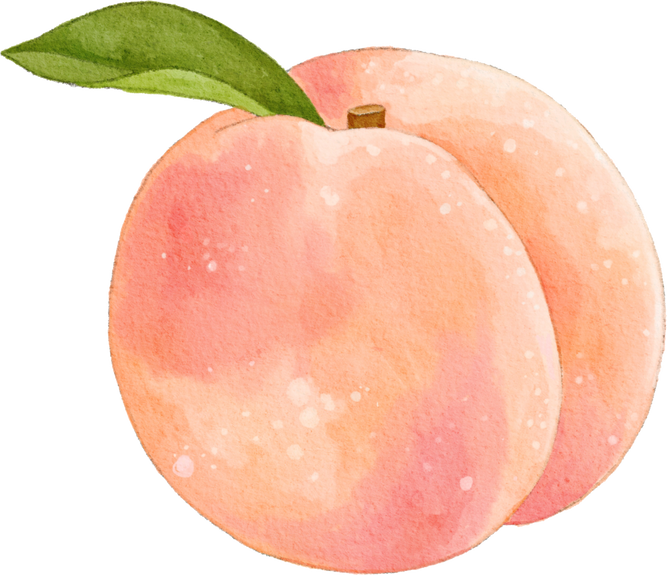 Peach Fruit Illustration